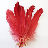 Перо гуся, цвет Red, длинна 13-15см, 1шт