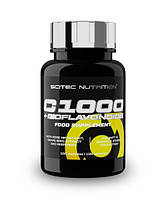 Вітаміни Scitec Nutrition C-1000 100 caps