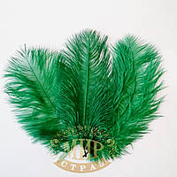 Перо страуса, цвет Emerald, размер 15-20cм*1шт