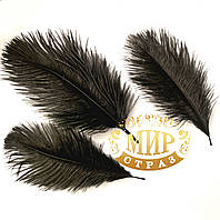 Перо страуса, Цвет черный, размер 15-20cм* 1шт