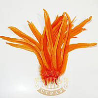 Перо петух (выберите длинну) , ширина 2,5см, цвет Orange, 1шт