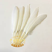 Натуральное гусиное перо 8-10 см, цвет White, 1шт