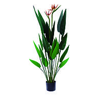 Штучна рослина Strelitzia 120 см Engard (TW-25)