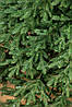 Ялинка лита "Альпійська" Зелена 2,50м, фото 3