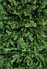 Ялинка лита "Альпійська" Зелена 1,80м, фото 5