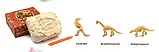 Набір для розкопок Фосілії "Рештки Динозавра в камені"., фото 3