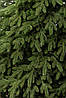 Ялинка лита "Лапландська" Зелена 2,50м, фото 6