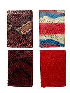 Обкладинка для автодокументів зі шкіри пітона (13х9 см)