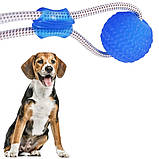 Іграшка для собак М'яч на мотузці з присоском Perfect Power Синій Іграшка для домашніх тварин жувальна, фото 6