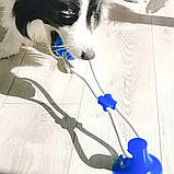 Іграшка для собак М'яч на мотузці з присоском Perfect Power (Фіолетовий) Іграшка для тварин жувальна, фото 9