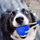 Іграшка для собак М'яч на мотузці з присоском Perfect Power Синій Іграшка для домашніх тварин жувальна, фото 9