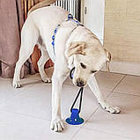 Іграшка для собак М'яч на мотузці з присоском Perfect Power Синій Іграшка для домашніх тварин жувальна, фото 10