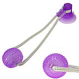 Іграшка для собак М'яч на мотузці з присоском Perfect Power (Фіолетовий) Іграшка для тварин жувальна, фото 5