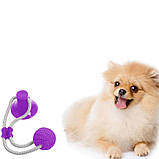 Іграшка для собак М'яч на мотузці з присоском Perfect Power (Фіолетовий) Іграшка для тварин жувальна, фото 6