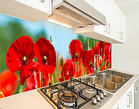 Панель кухонная, заменитель стекла маки в поле, с двухсторонним скотчем 62 х 305 см, 1,2 мм