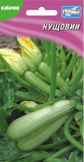 Кабачок Кущовий 20 шт