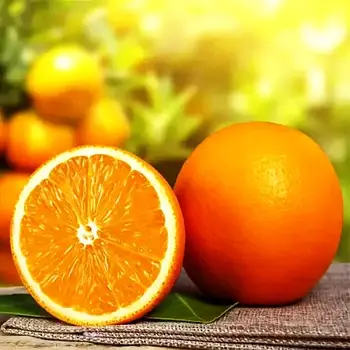 Саджанці апельсина Аджарського - ранній, самоплодовий, солодкий