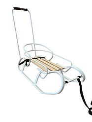 Дитячі зимові санки Vitan (Вітан) Експрес зі спинкою та ручкою