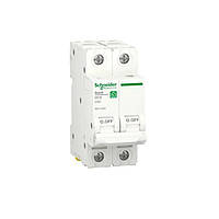 Автоматический выключатель Schneider Electric RESI9 6kA 2P 50A C