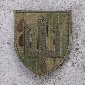 Шеврон Тризуб СВ ЗСУ Сухопутні війська олива мультикам