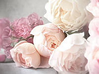 Алмазна Мозаїка SHLab Ніжні Півонії Набір Вишивки Камінням SH-15157 40x30 см (Повна Викладка)