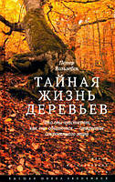 Тайная жизнь деревьев. Что они чувствуют, как они общаются-открытие сокровенного мира (4-е издание)