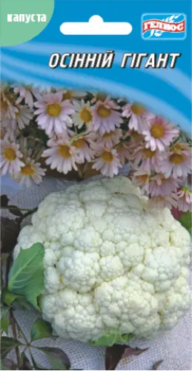 Капуста Осінній гігант 100 шт