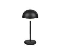 Лампа с аккумулятором Trio R52306132
