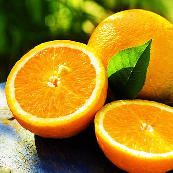 Саджанці апельсина Лайн Латте - ранній, самоплодовий, солодкий