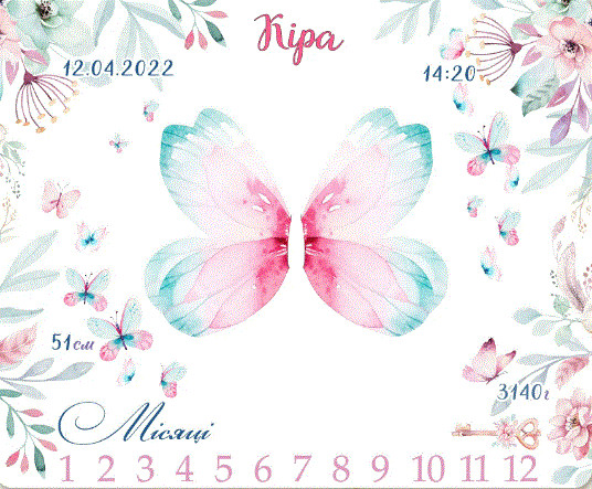 Фотопелюшка фотофон для перших фотосесій малюка з 1 до 12 місяців "Метелик" 120х100см