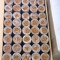 Таблетки торф'яні Ellepress 36 мм (упаковка 1500 шт.)