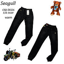 Утеплені штани під джинс для хлопчиків оптом, розміри 134-164, Seagull, арт. CSQ-58326