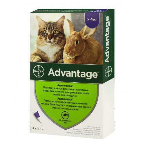 Краплі проти бліх, кліщів Advantage Адвантейдж 80 для кішок та декоративних кроликів від 4 кг, 4 піпетки*0.8 мл (46394)