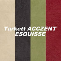 ЛІНОЛЕУМ Tarkett ACCZENT ESQUISSE