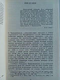 Нововикова Н.Н., Клосс Б.М. Н.Г. Чорно-В. на чолі революціонерів 1861 року. Б/у., фото 7