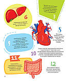 Тіло людини. 100 цікавих фактів. Лілія Політай, фото 3