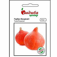 Гарбуз Кендісвіт, 8 шт., СЦ