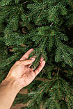 Ялинка лита "Альпійська" Зелена 2,30м, фото 7