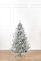 Ялинка лита "Віденська" ЗАСНІЖЕНА 2,10м