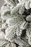 Ялинка лита "Ковалівська" ЗАСНІЖЕНА 3,00м, фото 8