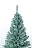 Ялинка лита "Президентська" Блакитна 2,10м, фото 7