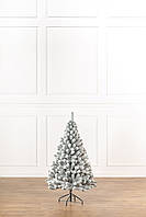 Ялинка лита "Президентська" ЗАСНІЖЕНА 1,50м