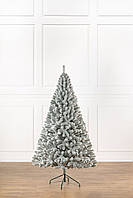 Ялинка лита "Президентська" ЗАСНІЖЕНА 2,10м