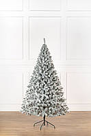 Ялинка лита "Президентська" ЗАСНІЖЕНА 2,30м