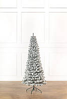 Ялинка лита "Президентська" конусна ЗАСНІЖЕНА 2,10м