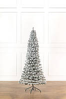 Ялинка лита "Президентська" конусна ЗАСНІЖЕНА 2,30м