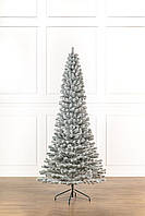 Ялинка лита "Президентська" конусна ЗАСНІЖЕНА 2,50м