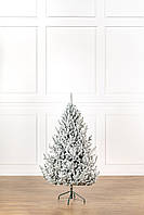 Ялинка лита "Віденська" ЗАСНІЖЕНА 1,80м