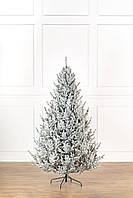 Ялинка лита "Віденська" ЗАСНІЖЕНА 2,30м