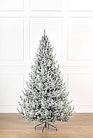 Ялинка лита "Віденська" ЗАСНІЖЕНА 2,50м